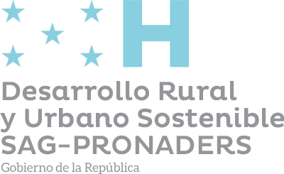 PROGRAMA NACIONAL DE DESARROLLO RURAL Y URBANO SOSTENIBLE